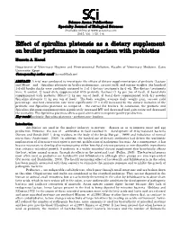 Effect of Spirulina Platensis As a Dietary Supplement on Broiler Performance in Comparison with Prebiotics