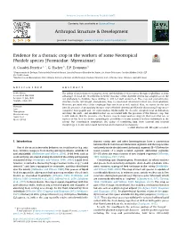 Evidence for a Thoracic Crop in the Workers of Some Neotropical Pheidole Species (Formicidae: Myrmicinae)
