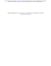 Outbreeding Depression As a Selective Force on Mixed Mating in the Mangrove Rivulus Fish, Kryptolebias Marmoratus