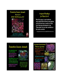 Transition Annuals