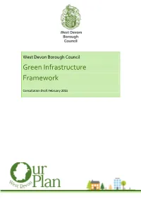 Green Infrastructure Framework
