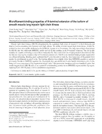 Microfilament-Binding Properties of N-Terminal Extension of the Isoform of Smooth Muscle Long Myosin Light Chain Kinase