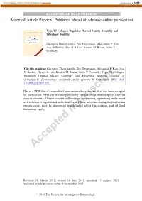 Type VI Collagen Regulates Dermal Matrix Assembly and Fibroblast Motility