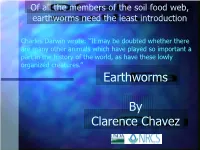 Earthworms by Clarence Chavez