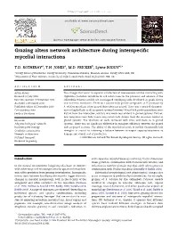 Grazing Alters Network Architecture During Interspecific Mycelial