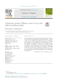 Cohomology Groups of Fermat Curves Via Ray Class Fields of Cyclotomic Fields