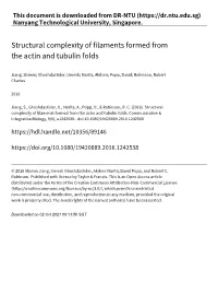 Structural Complexity of Filaments Formed from the Actin and Tubulin Folds