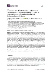 Successive Onset of Molecular, Cellular and Tissue-Specific