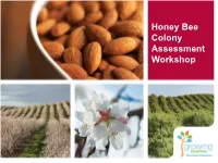 Honey Bee Colony Assessment Workshop Colony Strength Evaluation