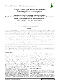 Insight on Pathogen Defense Mechanisms in the Sugarcane Transcriptome
