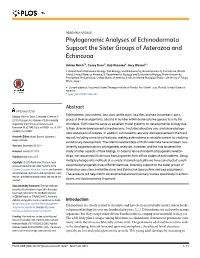 Phylogenomic Analyses of Echinodermata Support the Sister Groups of Asterozoa and Echinozoa