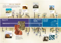 COMPLETE BIBLICAL TIMELINE Catch a Glimpse of the Whole Sweep of Biblical History