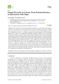 Fungal Diversity in Lichens: from Extremotolerance to Interactions with Algae