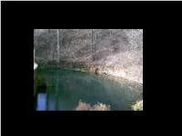 Geology, Land-Use, and Water Quality: Lessons from Big Spring
