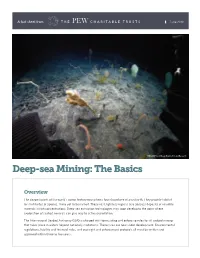 Deep-Sea Mining: the Basics