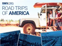 Camping, Ziplining, and Rafting