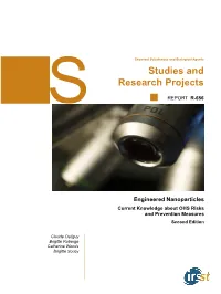 Engineered Nanoparticles Current Knowledge About OHS Risks and Prevention Measures Second Edition