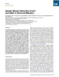 Genetic Mosaic Dissection of Lis1 and Ndel1 in Neuronal Migration