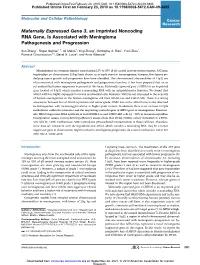 Maternally Expressed Gene 3, an Imprinted Noncoding RNA Gene, Is Associated with Meningioma Pathogenesis and Progression