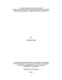 University of Florida Thesis Or Dissertation Formatting