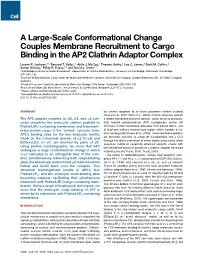 A Large-Scale Conformational Change Couples Membrane Recruitment to Cargo Binding in the AP2 Clathrin Adaptor Complex