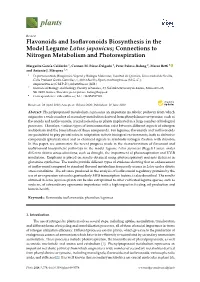 Flavonoids and Isoflavonoids Biosynthesis in the Model