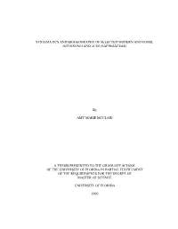 Systematics and Biogeography of Selected Modern and Fossil Dipteronia and Acer (Sapindaceae)