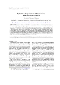 Optimizing the Production of Polyphosphate from Acinetobacter Towneri