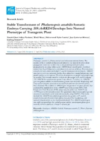 Stable Transformant of Phalaenopsis Amabilis Somatic Embryo Carrying 35S::Atrkd4 Develops Into Normal Phenotype of Transgenic Plant