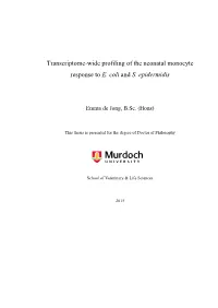 Transcriptome-Wide Profiling of the Neonatal Monocyte Response to E