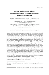 Aeshna Viridis Is an Early Bird – Matutinal Matings in a Crepuscular Species (Odonata: Aeshnidae)*