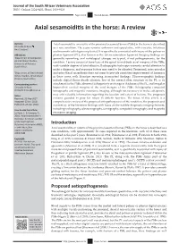 Axial Sesamoiditis in the Horse: a Review