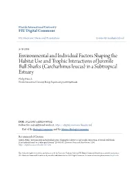 Environmental and Individual Factors Shaping the Habitat Use And