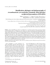 Identification, Phylogeny and Phylogeography of Circumfenestrate