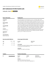 [KO Validated] CHCHD2 Rabbit Pab