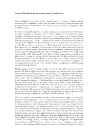 “Neutral Theory” in Ecology