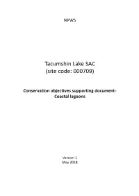 Tacumshin Lake SAC (Site Code: 000709)