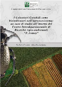 I Coleotteri Carabidi Come Bio Indicatori Nell' Agroecosistema: Un