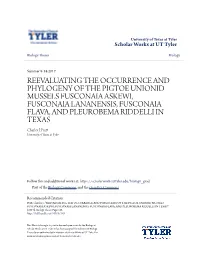 Reevaluating the Occurrence and Phylogeny