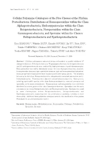 Cellular Polyamine Catalogues of the Five Classes of the Phylum Proteobacteria: Distributions of Homospermidine Within the Class