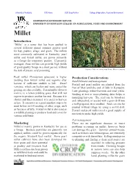 Millet Introduction “Millet” Is a Name That Has Been Applied to Several Different Annual Summer Grasses Used for Hay, Pasture, Silage, and Grain