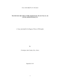 1 the UNIVERSITY of LINCOLN the Behaviour and Ecology of Adult