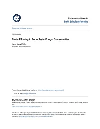 Biotic Filtering in Endophytic Fungal Communities