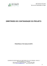 Diretrizes De Continuidade Do Projeto
