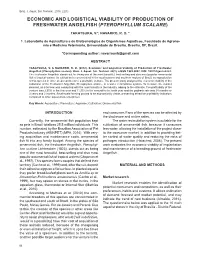 Economic and Logistical Viability of Production of Freshwater Angelfish (Pterophyllum Scalare)