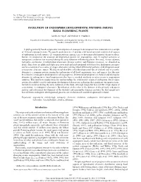 Evolution of Endosperm Developmental Patterns Among Basal Flowering Plants