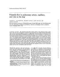 Pulsatile Flow in Pulmonary Artery, Capillary, and Vein in the Dog'