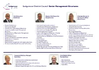 Senior Management Structures