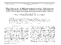 The Life Cycle of Sphaerospora Truttae (Myxozoa: Myxosporea) and Some Features of the Biology of Both the Actinosporean and Myxosporean Stages