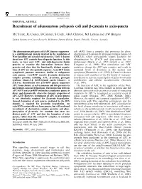Recruitment of Adenomatous Polyposis Coli and B-Catenin to Axin-Puncta